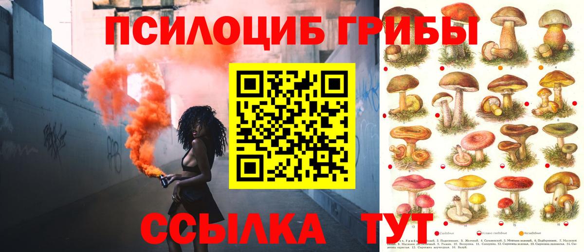 наркота  Вход с VPN  Черногорск  Псилоцибиновые грибы мухоморы 